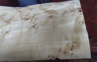Pappel-natürlicher Knoten geschnittene Schnitt-Furnierholz-Blätter, Ulmen-Knoten-Furnier-Blatt
