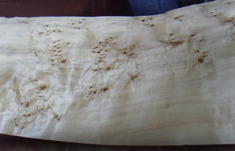Pappel-natürlicher Knoten geschnittene Schnitt-Furnierholz-Blätter, Ulmen-Knoten-Furnier-Blatt