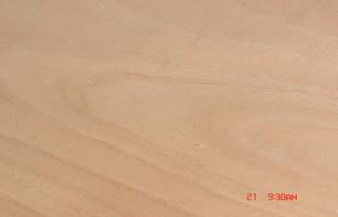 Natürliches gelbes Drehausschnitt-Furnierholz Okoume für Oberfläche von Möbeln