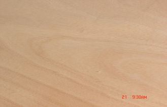 Natürliches gelbes Okoume-Furnier-Blatt, 0,20 Millimeter - 0,60 Millimeter Drehschnitt-Furnier-Blatt