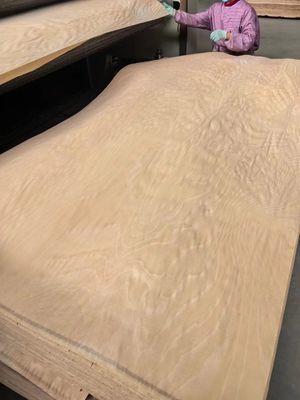Natürliche Rotations-Schnitt-Europäische rosa Buche Veneer-Blatt für Sperrholz