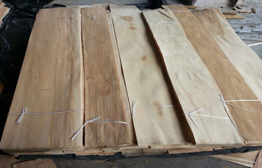 Natürliches geschnitten schnitt entfärbte Birken-Furnierhölzer bedecken für Möbel