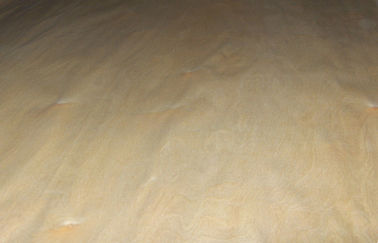 Weiß/Brown-Birken-Drehschnitt-Furnierholz, gestepptes Ahorn-Furnier-Blatt