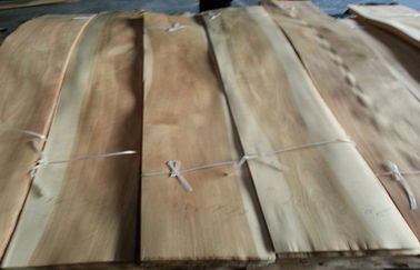Spanplatte geschnittenes Farbfurnierholz der Schnitt-natürliches Birken-zwei ausgeführt