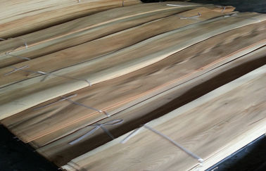 Spanplatte geschnittenes Farbfurnierholz der Schnitt-natürliches Birken-zwei ausgeführt