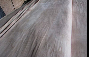 Natürliches Drehschnitt-Birkenausschnittfurnierholz ein Grad für Möbel