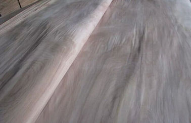 Natürliches Drehschnitt-Birkenausschnittfurnierholz ein Grad für Möbel