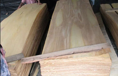 Natürliches Drehschnitt-Birken-Furnier, gelbes Drehschnittsperrholz