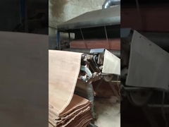 Naturholz PLB Schälfurnierblatt