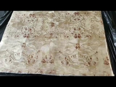 Poppel-Burr-Fenirier der Klasse A