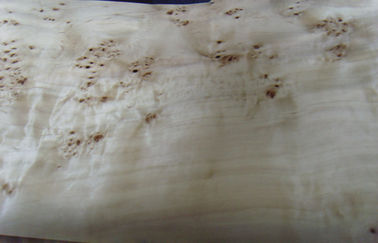 Flaches geschnittener Schnitt Burled Furnierholz, bauliches Aschknoten-Furnier-Blatt