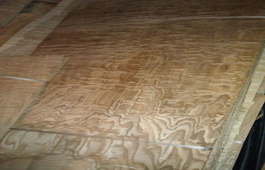 Exotisches Furnierholz täfelt Furnierholz Burl Veneer Plywood Sheetss 0.5mm