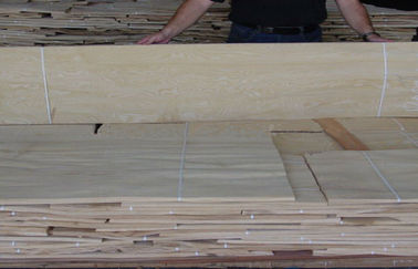 Weiße natürliche Aschfurnierholz-Scheibe schnitt 0.5mm Stärke für Innenvollenden