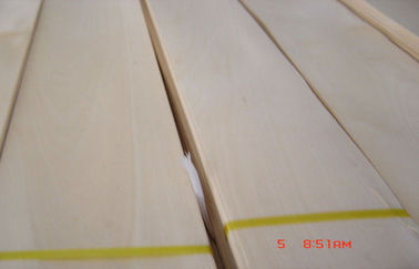 Goldene Birken-hartes Kronen-Schnitt-Furnier-Blatt für Rand-Streifenbildung und Sperrholz