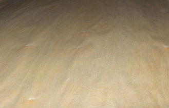 Kronen-Schnitt-Birken-Furnierholz golden mit 0.5mm Stärke für Wände