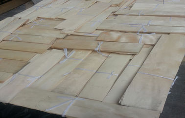 natürliches geschnittenes Schnitt China-Ahornfurnierholz für Möbel
