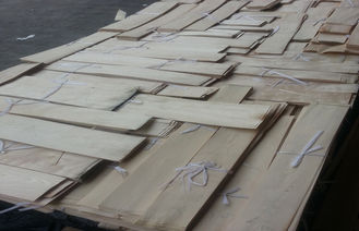 natürliches geschnittenes Schnitt China-Ahornfurnierholz für Möbel
