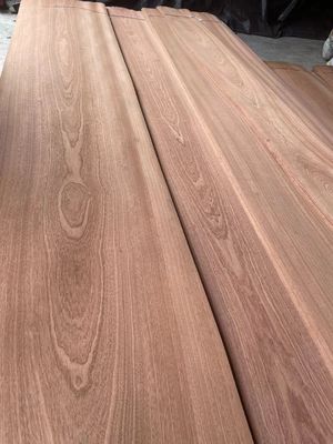 Schnitt Naturkrone/Gleichgeschnittenes Sapelli-Fenerier für Sperrholz
