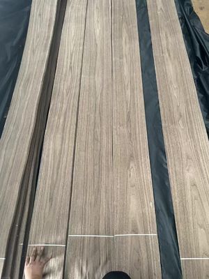 Natürliche geschnittene amerikanische schwarze Walnuss Plain Cut Veneer-Blatt für Sperrholz