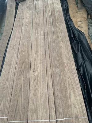 Natürliche geschnittene amerikanische schwarze Walnuss Plain Cut Veneer-Blatt für Sperrholz