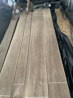 Natürliche geschnittene amerikanische schwarze Walnuss Plain Cut Veneer-Blatt für Sperrholz