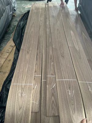 Natürliche geschnittene amerikanische schwarze Walnuss Plain Cut Veneer-Blatt für Sperrholz