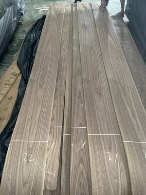 Natürliche geschnittene amerikanische schwarze Walnuss Plain Cut Veneer-Blatt für Sperrholz