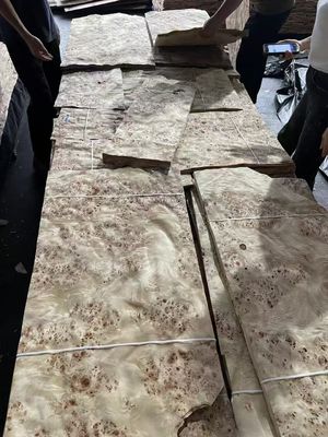 Hochwertiges Mappa-Burl-Venerierschicht für Möbeldekoration
