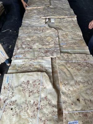 Hochwertiges Mappa-Burl-Venerierschicht für Möbeldekoration