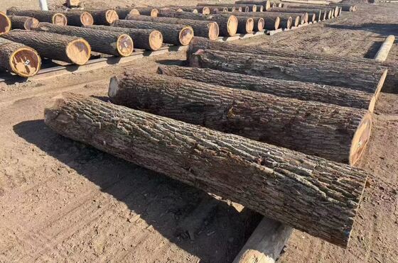 Eichenfurnierplatten mit Spiegelmaserung in 0,2-0,6 mm Dicke und bis zu 1220 mm Breite für Möbel und Dekoration