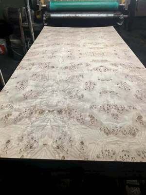 Natürliches Mappa Burl Furnierblatt mit Schnitt und 12-15% Feuchtigkeit für Möbeldekoration