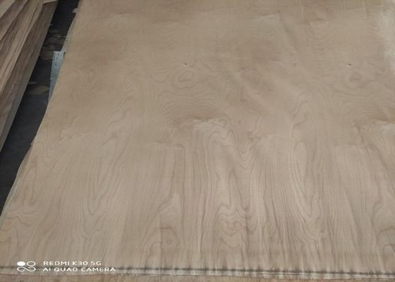Ein Grad-Drehschnitt-weiße Birken-Furnierholz bedeckt 0.18mm 0.22mm