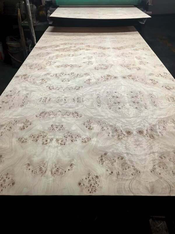 0.5mm Thickness Sliced Cut Mappa Burl Wood Veneer Sheets for Hotel Decoration