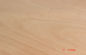 Gelber Drehschnitt Okoume-Furnier-Blatt MDF für Sperrholz